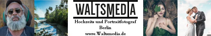 Waltsmedia Logo